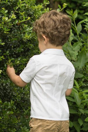 DSC_6118 - Connie Marie